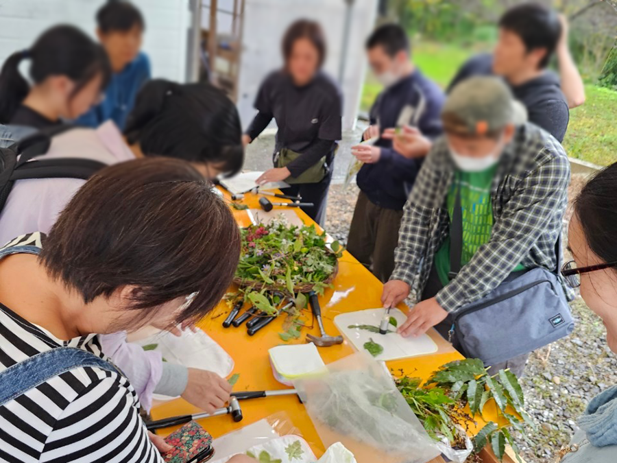 イノホイの森であそぼう